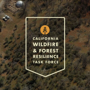 The California Wildfire and Forest Resilience Task Force’s Science Advisory Panel invites you to participate in a survey.