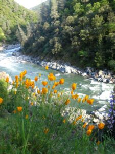SYRCL Responds to Proposed Closure of South Yuba River State Park