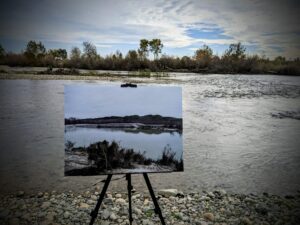 Large-scale, Multi-benefit Halwood Side Channel and Floodplain Restoration Project Transforms Part of the Lower Yuba River